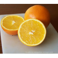 Nuevo Crop Delicious Navel Orange (56-64-72 / 15kg cartón)